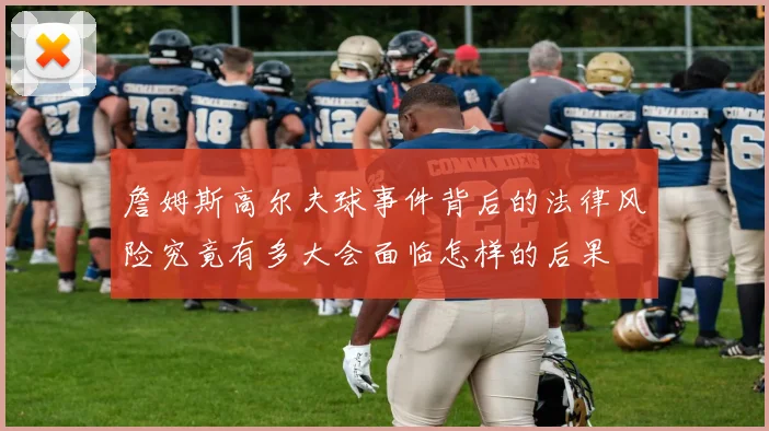 詹姆斯高尔夫球事件背后的法律风险究竟有多大会面临怎样的后果